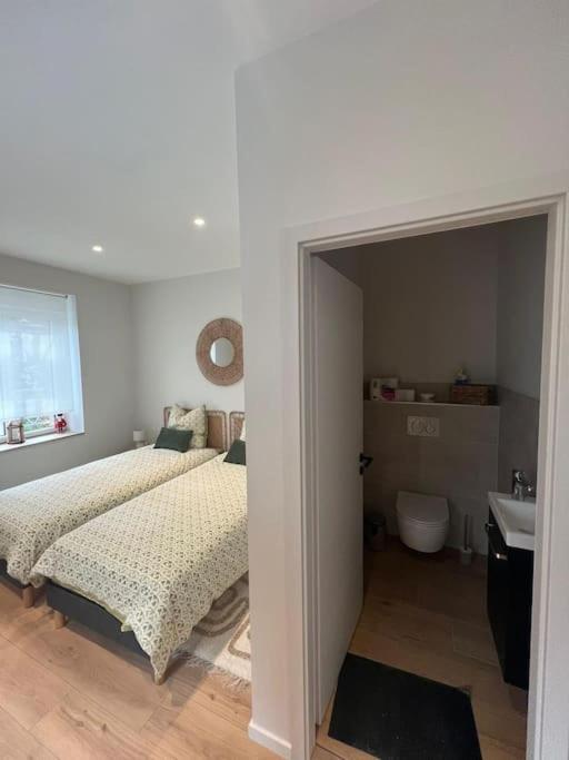 Colmar Centre - Le Schickele Apartment Bagian luar foto
