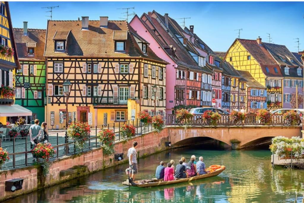 Colmar Centre - Le Schickele Apartment Bagian luar foto