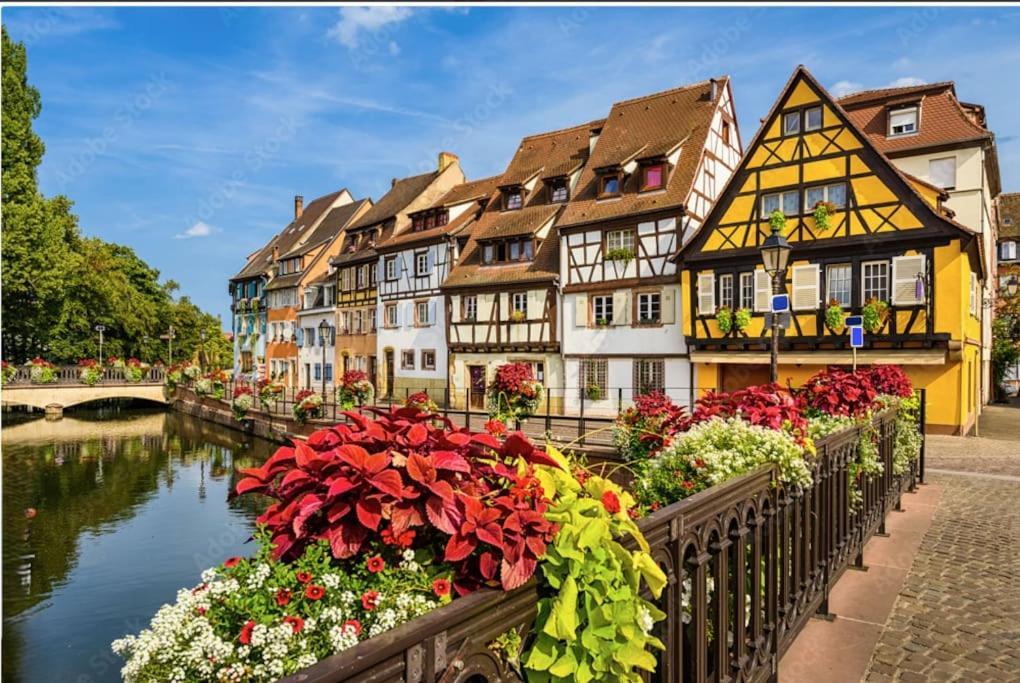 Colmar Centre - Le Schickele Apartment Bagian luar foto
